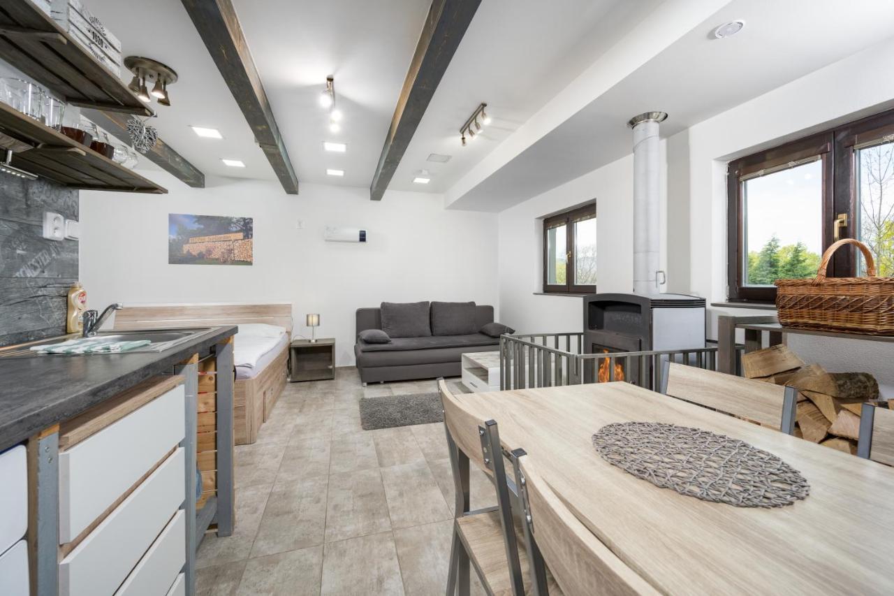 Apartma Sungarden Liberec Extérieur photo